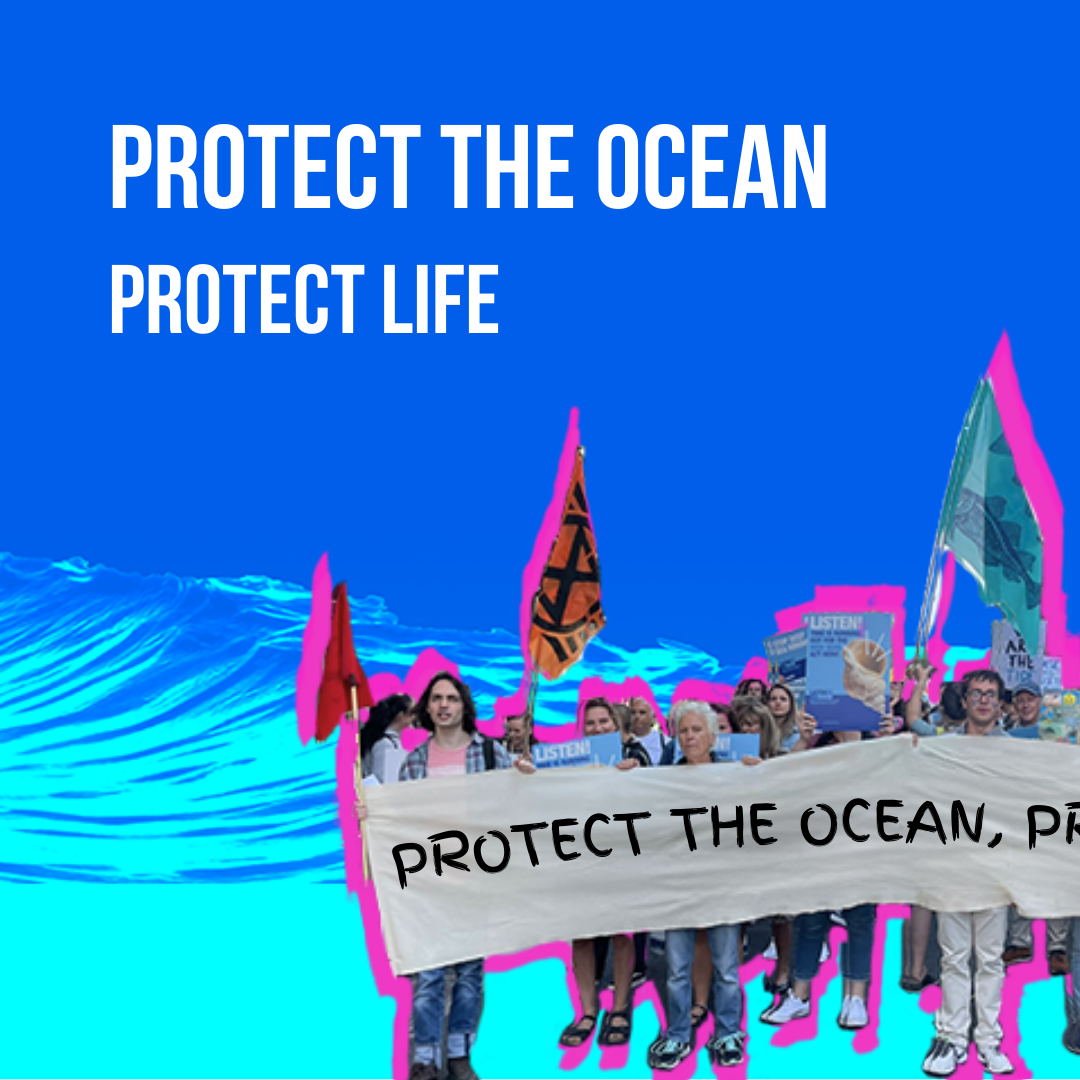 March promotional material created by organisers, Seas at Risk 