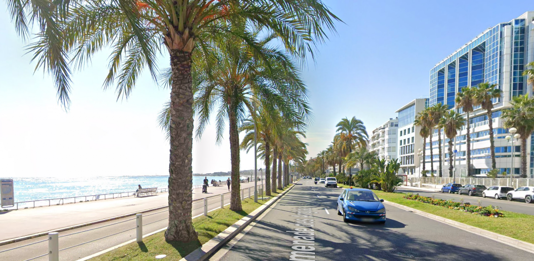 Protest march organised for UNOC3 as world leaders and marine interests gather in Nice